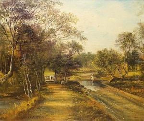 Ravenshaw Ford - view 1