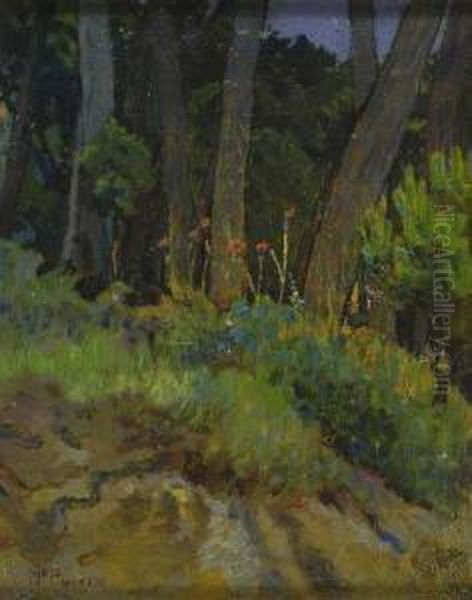 Bosco - view 1