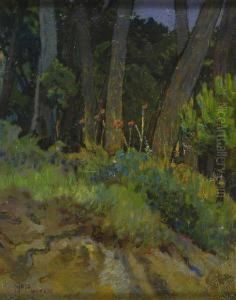 Bosco by Mario Puccini