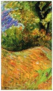 Sottobosco by Mario Puccini