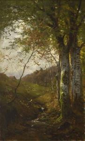 Waldbach - view 1