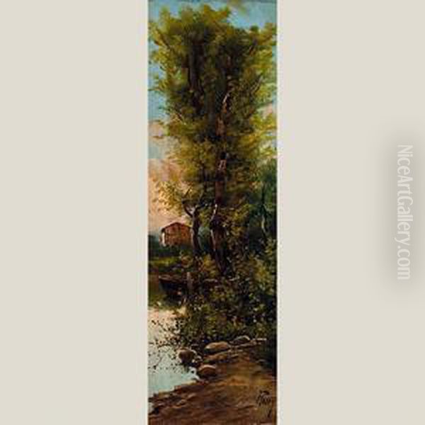 Arbol Y Barca - view 1