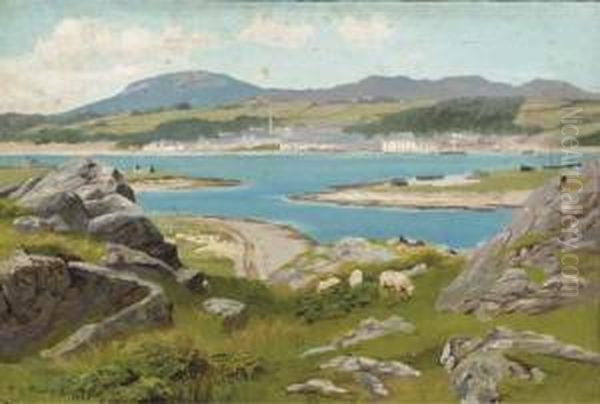 Island Views - view 1