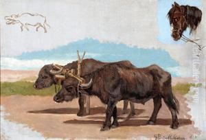 Bufali E Cavallo by Giuseppe Puricelli Guerra