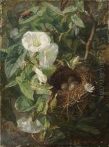 Nid D'oiseau Dans Des Liserons by Elise Puyroche-Wagner