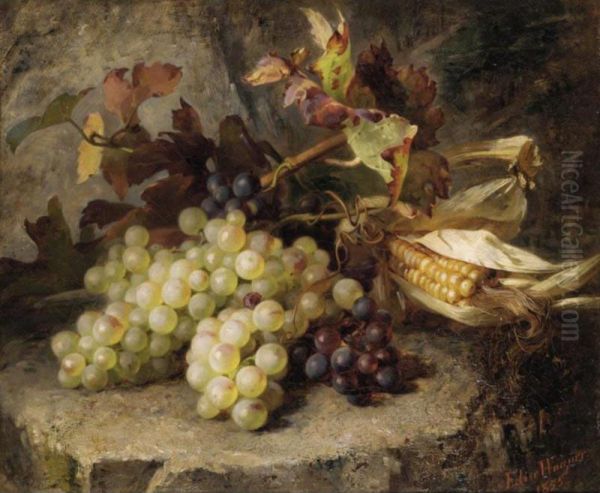 Still Life Of Grapes - view 1