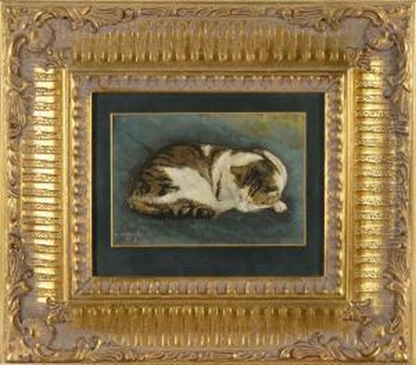 A Resting Cat - view 1