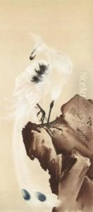White Phoenix On Rock by Gao Qifeng