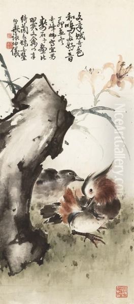 Mandarin Ducks - view 1