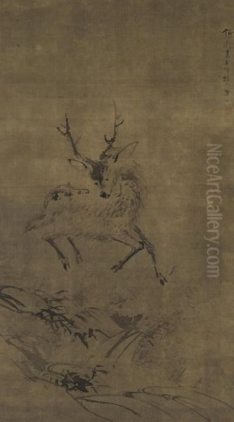 Deer - view 1