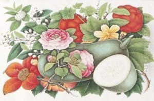 An Album Of Seven Botanical Studies Of Flowers by You Qua
