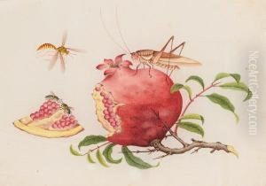Insects Eating A Pomegranate by You Qua
