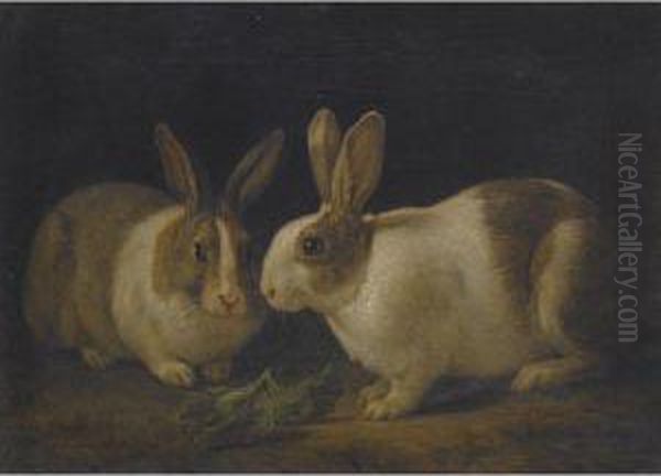 Two Dutch Rabbits With A Cabbage Leaf - view 1