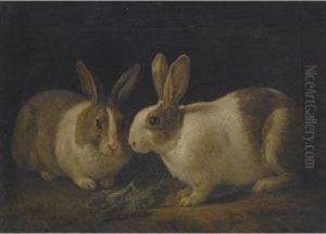 Two Dutch Rabbits With A Cabbage Leaf by Martin Ferdinand Quadal