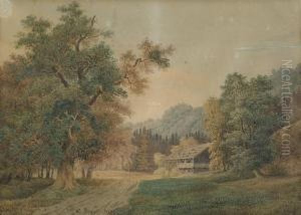 Waldige Landschaft Mit Holzhaus - view 1