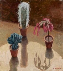 Le Piantine Grasse by Eva Quajotto