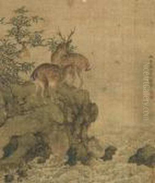 Deers - view 1