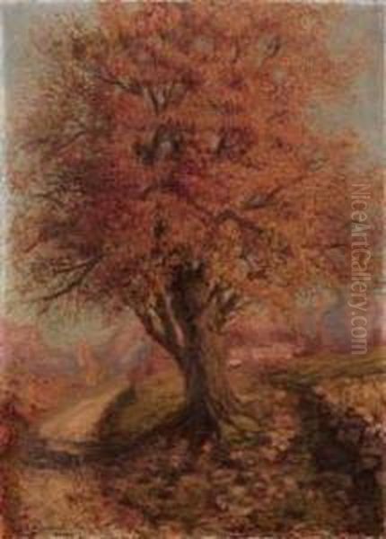 Paesaggio Con Albero - view 1
