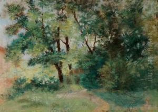 Bosco - view 1