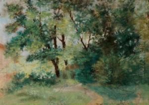 Bosco by Lattanzio Querena