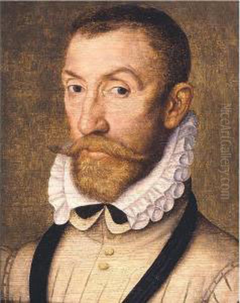 Portrait Of A Gentleman, Head And Shoulders, Said To Be Gaspard De Coligny (1519-72) - view 1