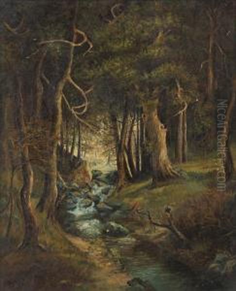 Forest Interior - view 1
