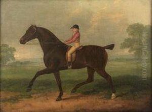 Study Of A Race-horse With Jockey Up by Daniel Quigley