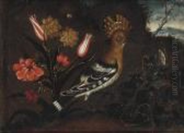 A Hoopoe In A Landscape - view 1