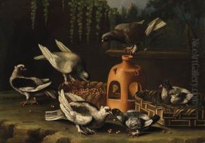 Pigeons Feeding From A Basket By A Stoneware Vase In A Garden by Giovanni Quinsa