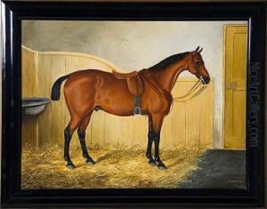 Portrait Of A Hunter by J Quintan