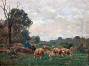 Jeune Berger Et Troupeau De Moutons Jeune Berger Et Troupeau De Moutons