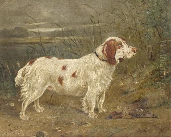 Charles - view 1