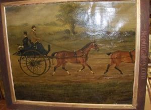 Horse And Carriage In Parkland