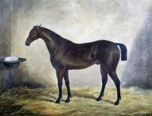 Race Horse In A Stable