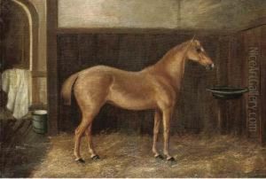 A Chestnut Hunter In A Stable by J. Quinton