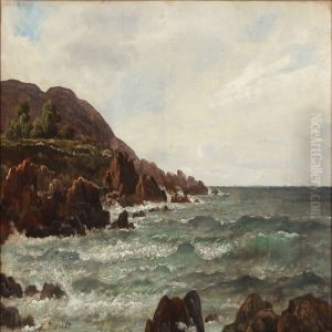 Coastal Scape From Kullen by Peter Johann Raadsig
