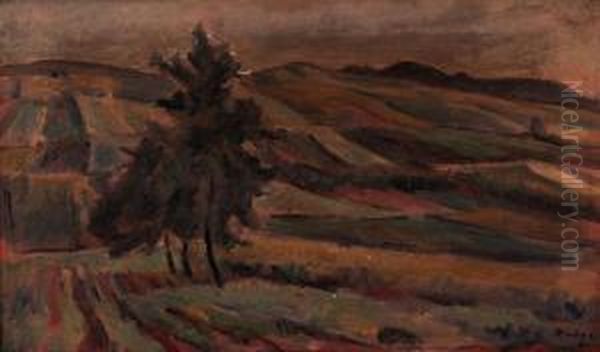 Zpodzbanska - view 1