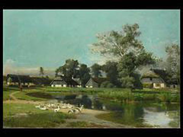 Enten Am Dorfweiher - view 1