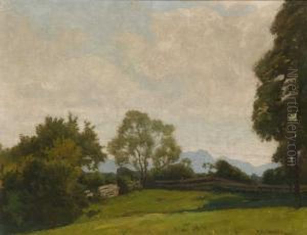 Weide In Sommerlicher Voralpenlandschaft - view 1