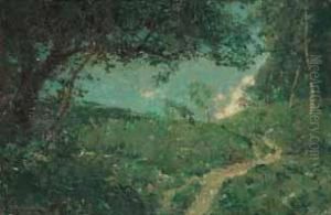 'bild Mit Gruner Wiese'. 'bild Mit Gruner Wiese'.