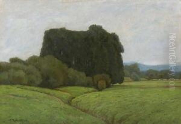 Baumlandschaft. - view 1