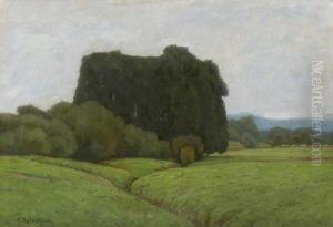 Baumlandschaft. Baumlandschaft.