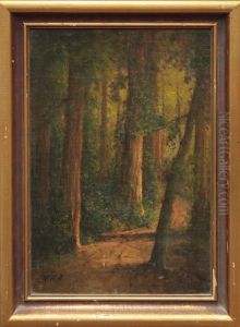 Redwoods by Thomas Henry Rabjohn