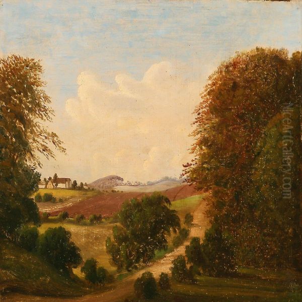 Summer Landscape - view 1