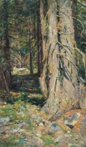Alberi - view 1