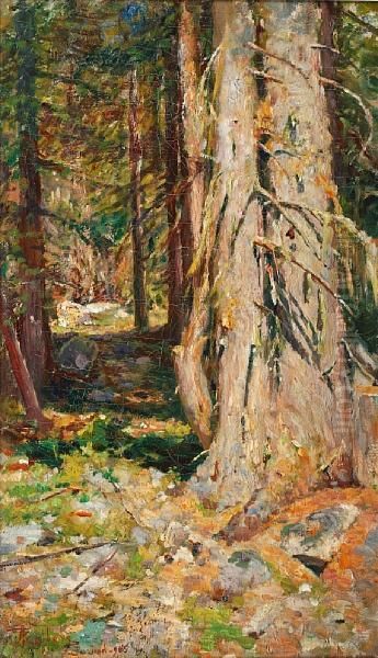 Trees - view 1