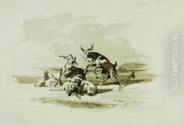 Capre Al Pascolo - view 1