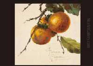 Persimmon by Eleonora, Tama Ragusa
