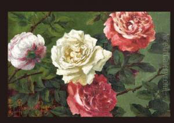 Roses - view 1