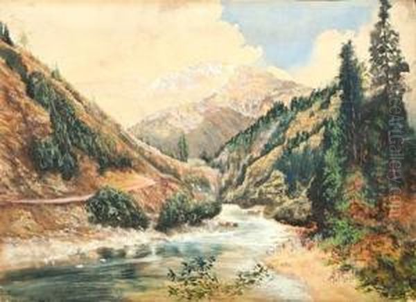 Landscape - view 1